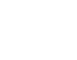 Sanmarcsoft Logo
